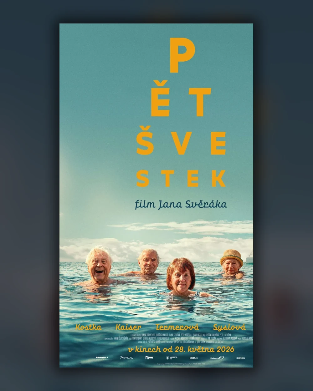 Filmový plakát Pět švestek